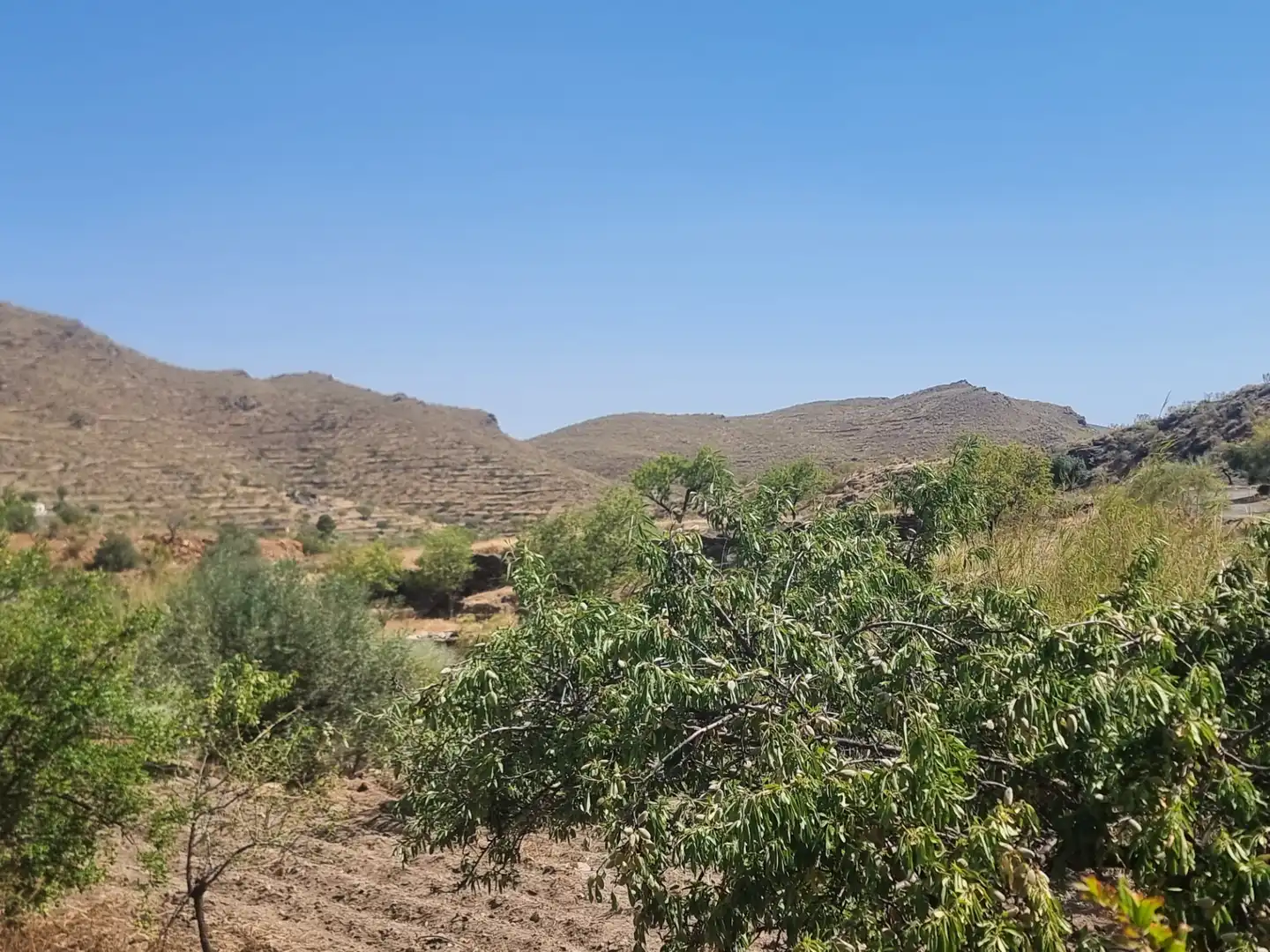 Terreno en venta en Senés