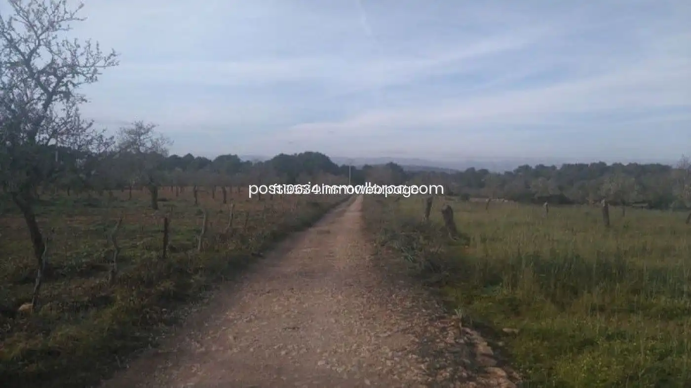 Terreno rustico in vendita a Algaida, imagen 35