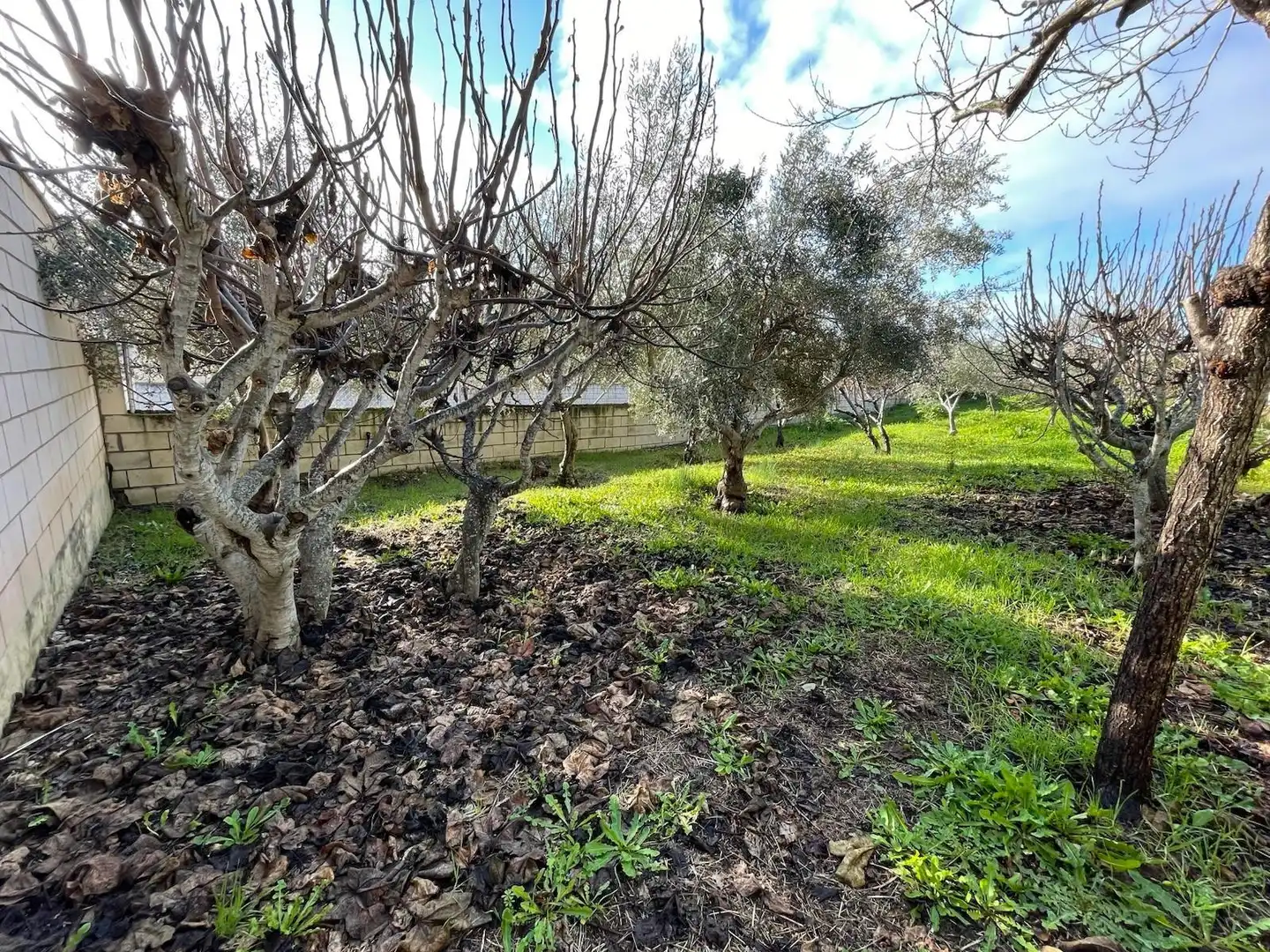Detached homes for sale in Santa Marta de Magasca  with Heating, Private garden and Terrace