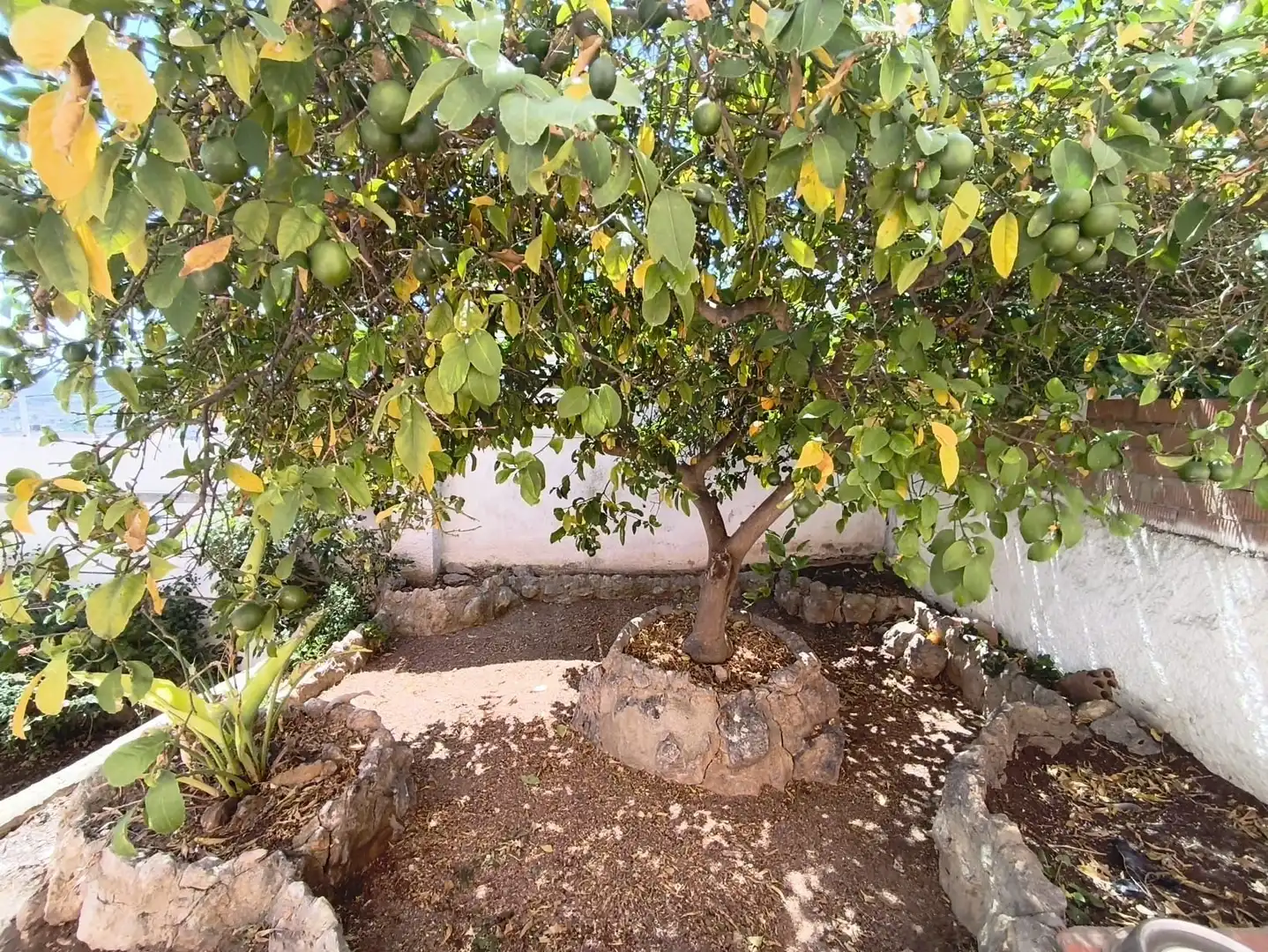 Casa en venda a Albinyana, imagen 28