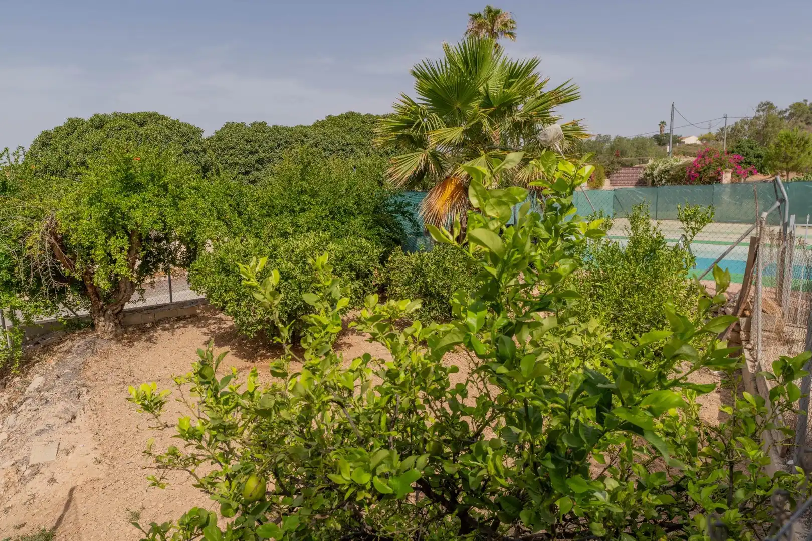 Casa o chalet en venta en Elche / Elx con Aire acondicionado, Jardín privado y Piscina