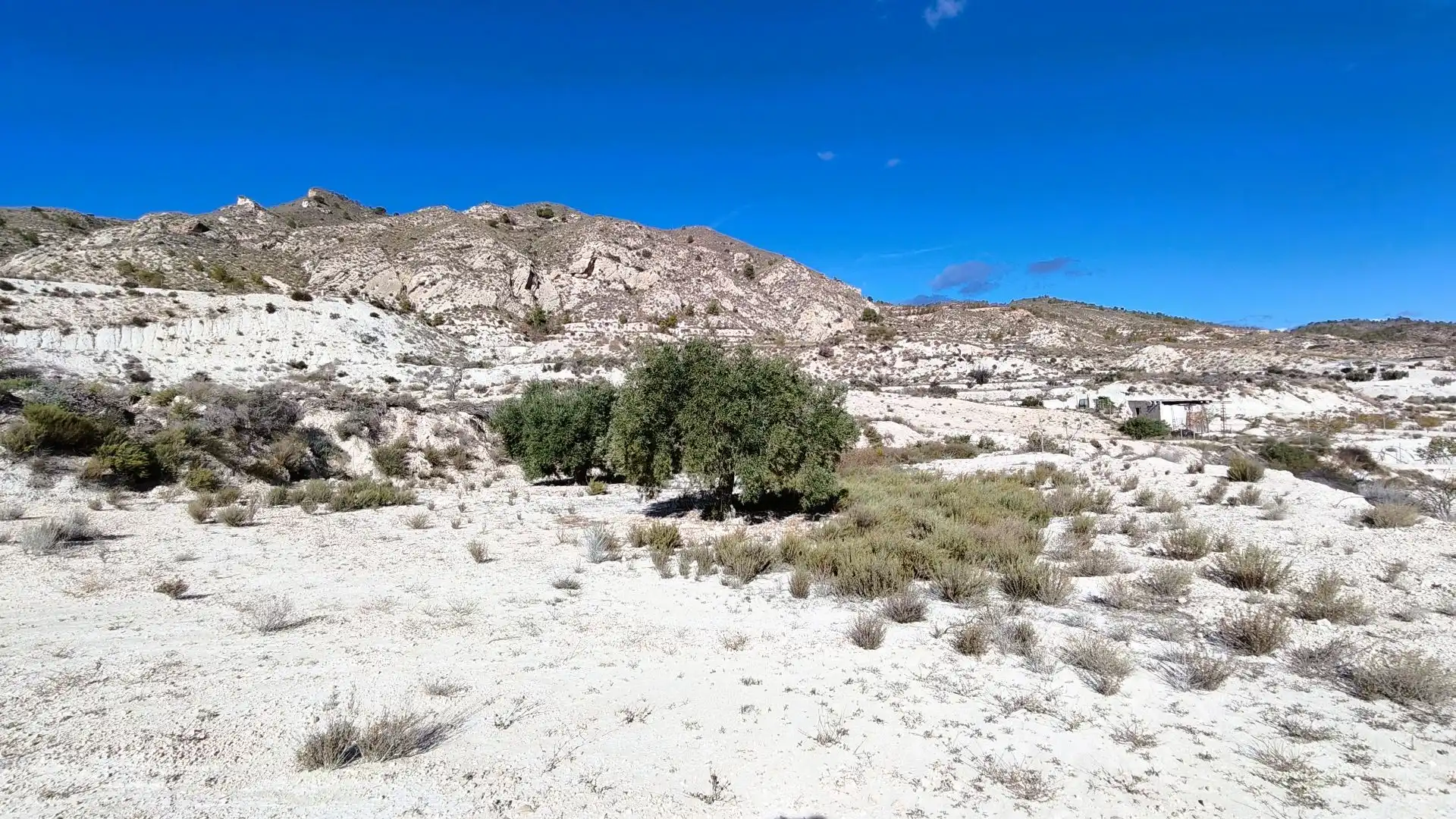 Rural land for sale in Fortuna, imagen 10