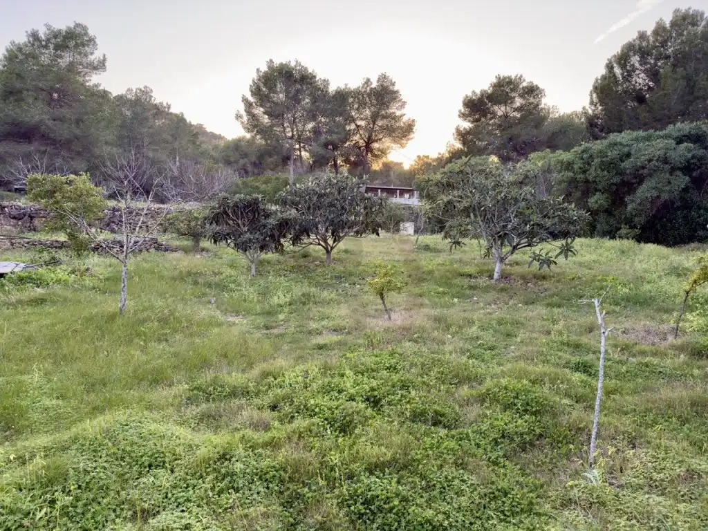 Houses for sale in Sant Josep de sa Talaia  with Private garden