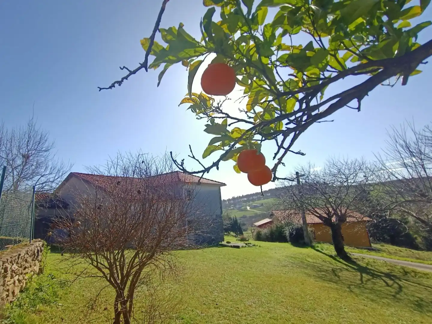 Jardín de Casa o chalet en venta en Suances con Terraza y Balcón