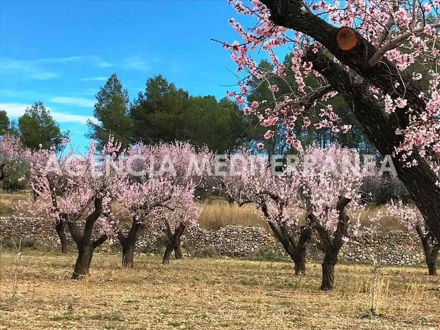 Xalet amb piscina en venda a Alcalalí, imagen 19