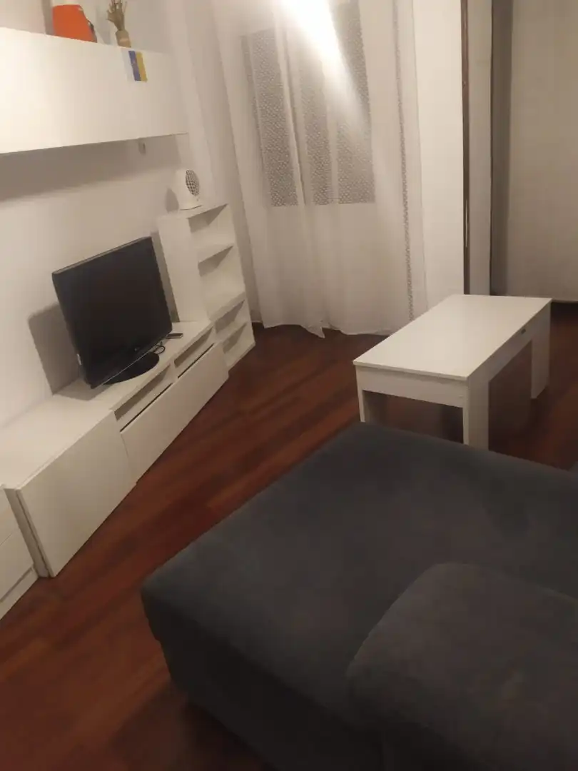 Sala de estar de Piso de alquiler en Ferrol con Amueblado