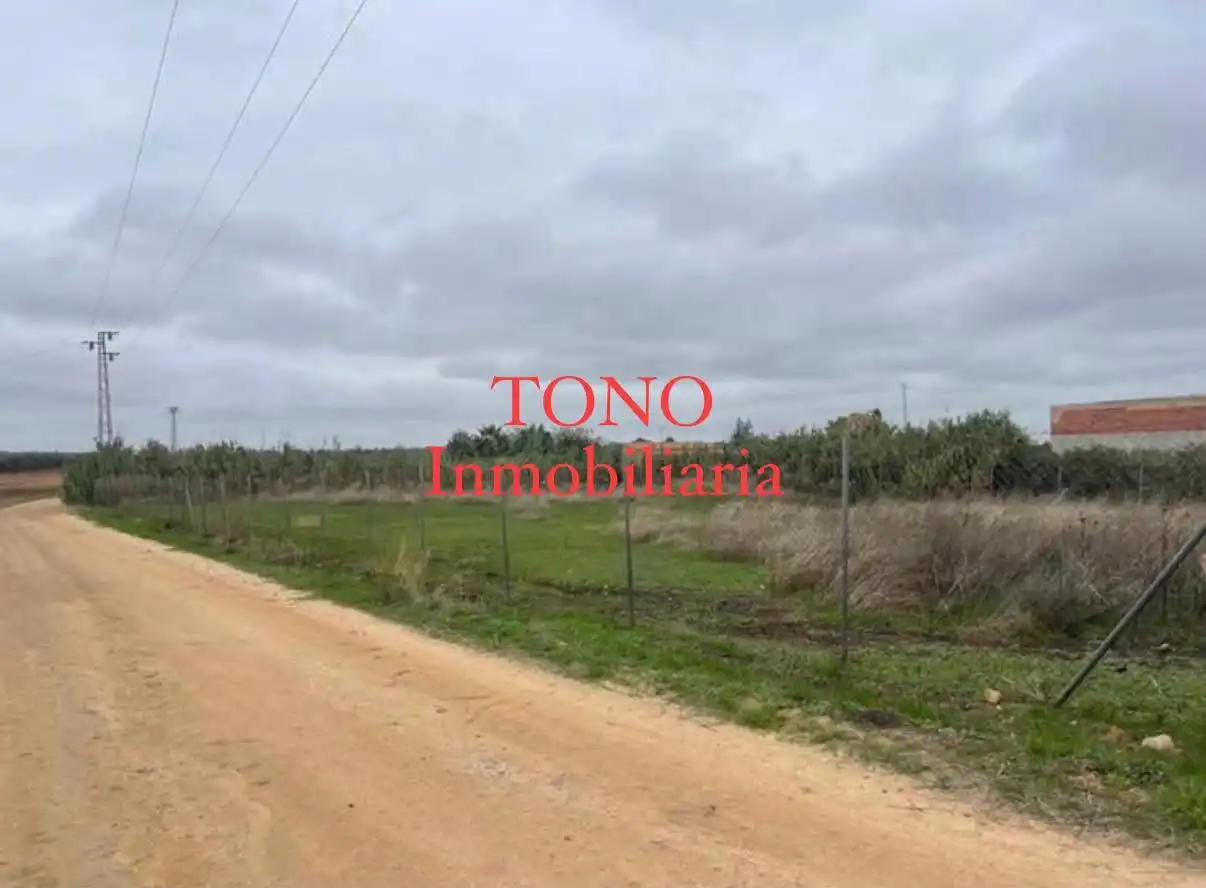 Terreny rústic en venda a Cañada Rosal, imagen 3