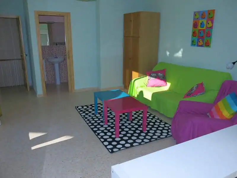 Living room of Attic for rent in Fraternidad