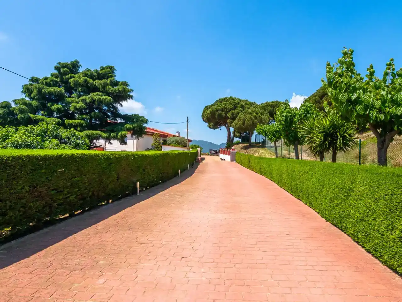 Vista exterior de Planta baixa en venda en Argentona amb Aire condicionat, Terrassa i Piscina