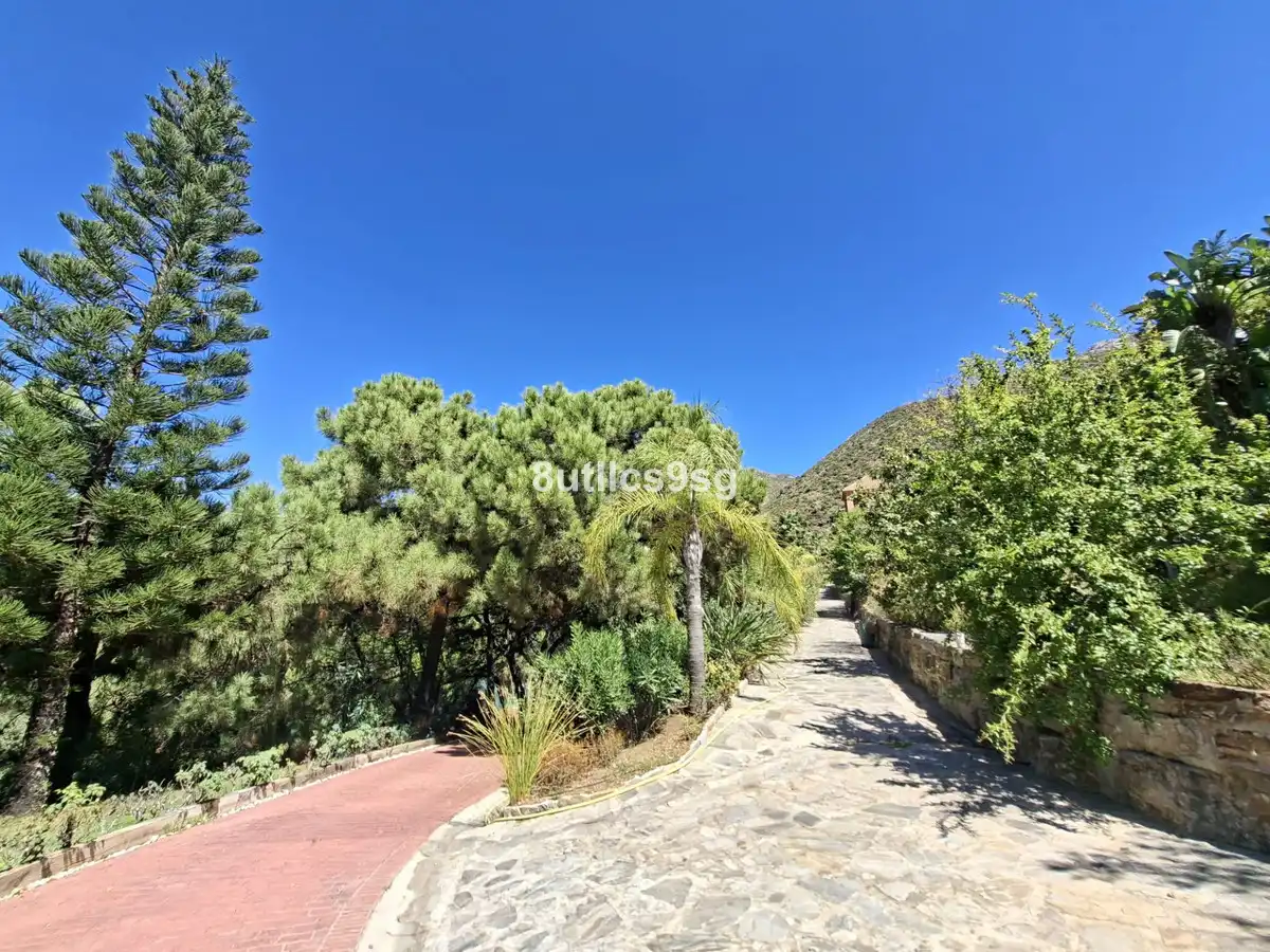 Außenansicht von Country house zum Verkauf in Istán, Málaga