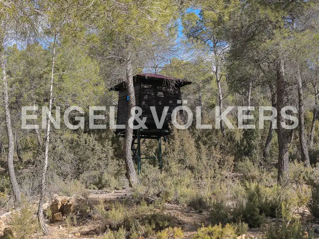Finca rústica en venda en Ayora amb Jardí privat, Parquet i Terrassa