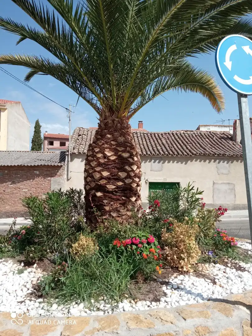 Vista exterior de Casa o xalet en venda en El Casar de Escalona amb Calefacció i Jardí privat