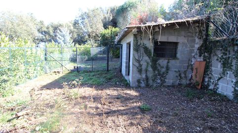 PARCELA EN VENTA EN FOGUERES DE MONTSORIU CON GRAN JARDIN CON GALLINEROS Y CUADRAS DE ANIMALES. SE ESCUCHAN OFERTAS!!!, immagine 4
