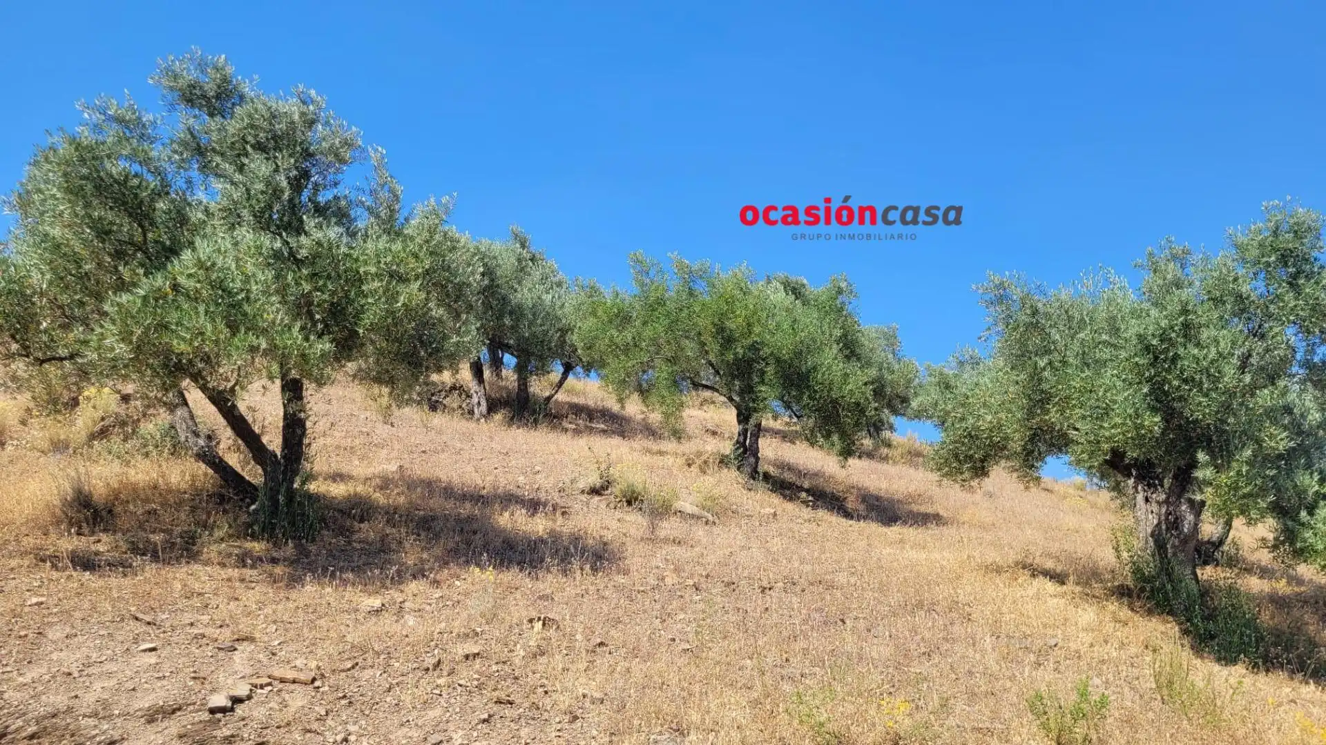 Finca rústica en venda en Pozoblanco amb Traster