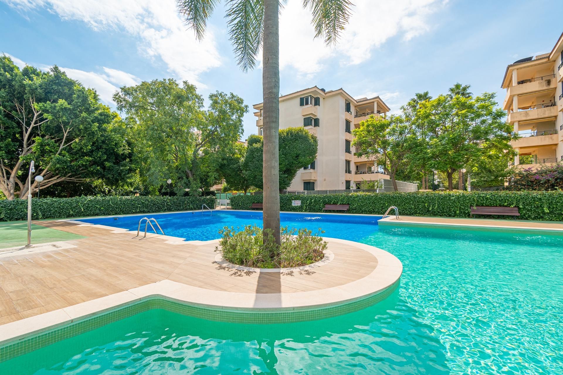 Swimming pool of Flat for sale in  Palma de Mallorca  with Private garden, Terrace and Balcony