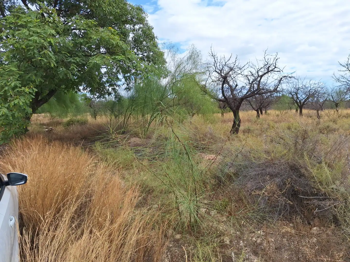 Rural land for sale in Villamontes - Boqueres, imagen 7