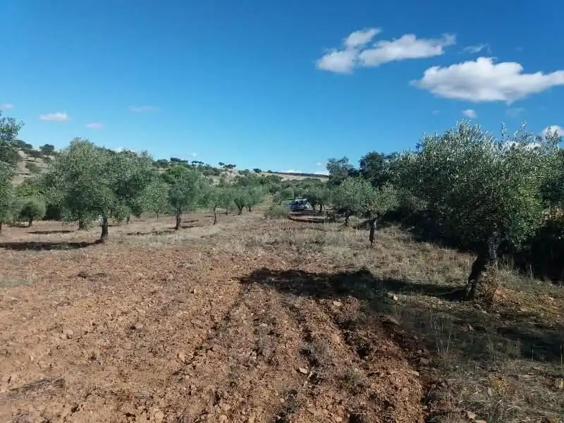 Residential land for sale in Fuente Obejuna, imagen 4