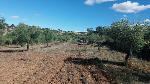“Oportunidad” Finca de Olivar y trozo de tierra de labor situada en la aldea de Ojuelos Bajos - Municipio de Fuente Obejuna con un, imatge 4