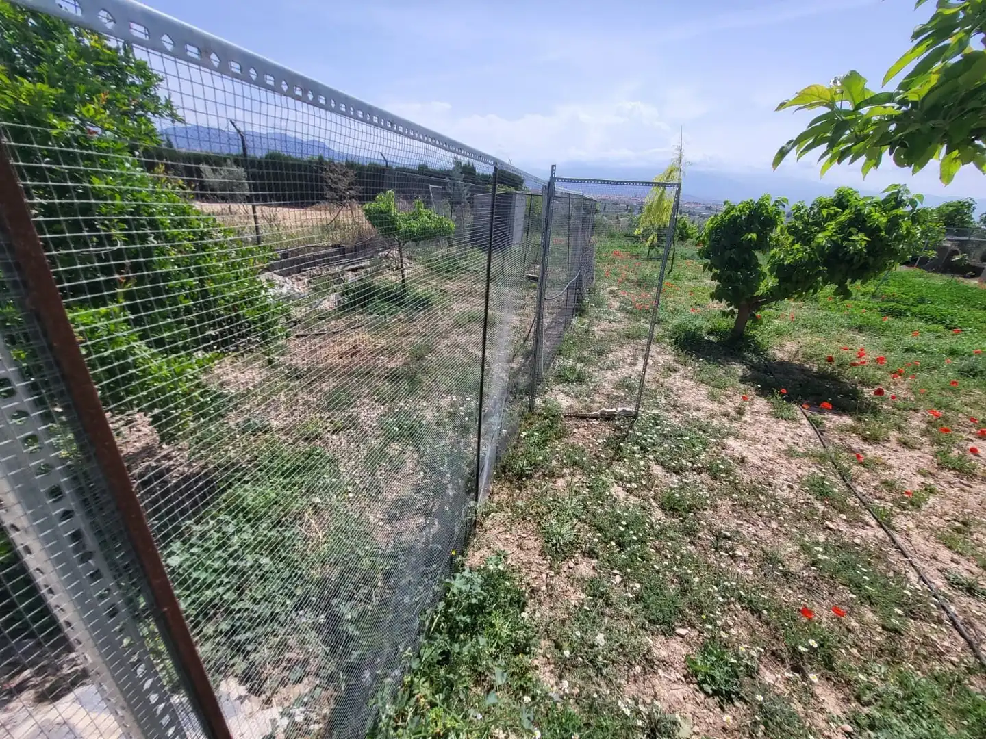 Terrenos y solares en venta en El Torreón - Cortijo Pretel, imagen 16