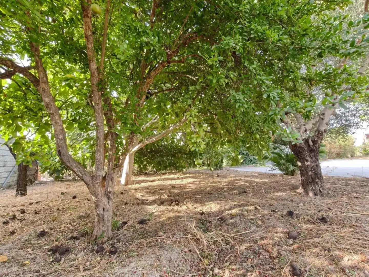 Piso en venta en Fernán-Núñez