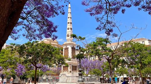 Foto 5 de Pis en venda a El Ejido, Málaga Capital
