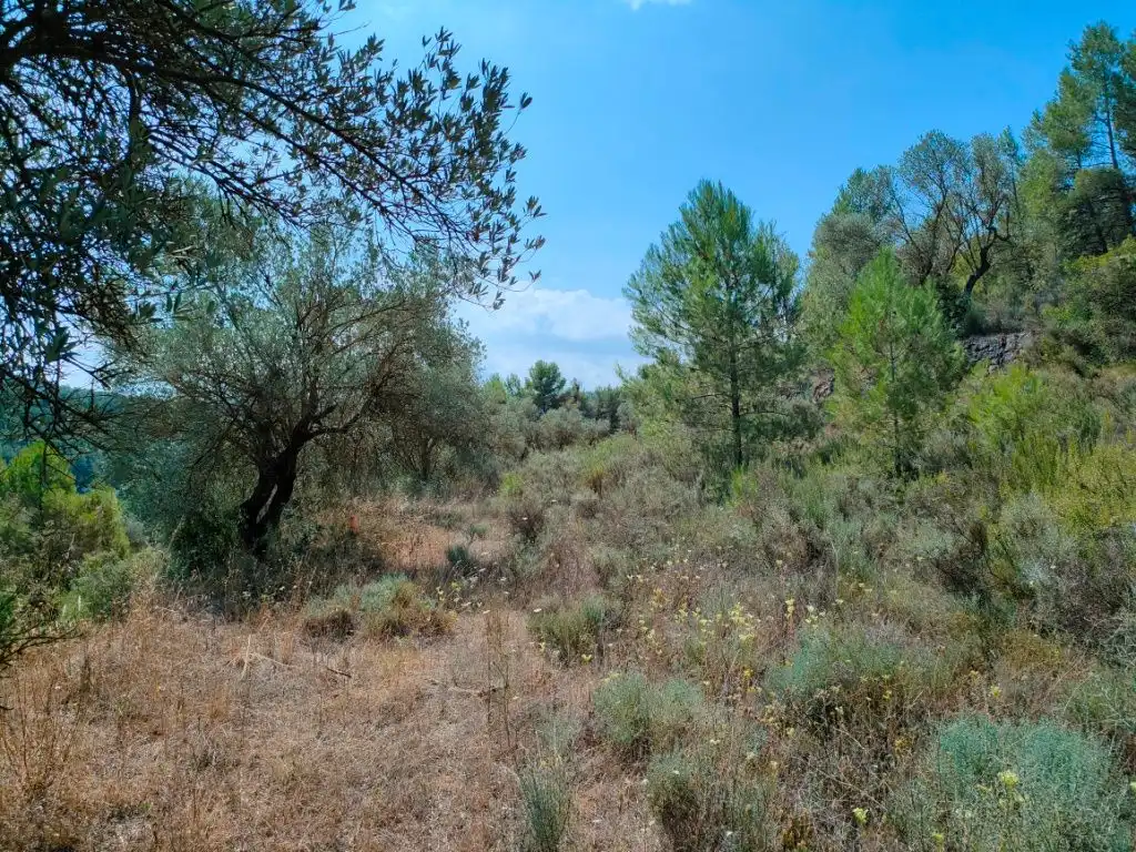 Terreni e lotti in vendita a Arens de Lledó, imagen 5