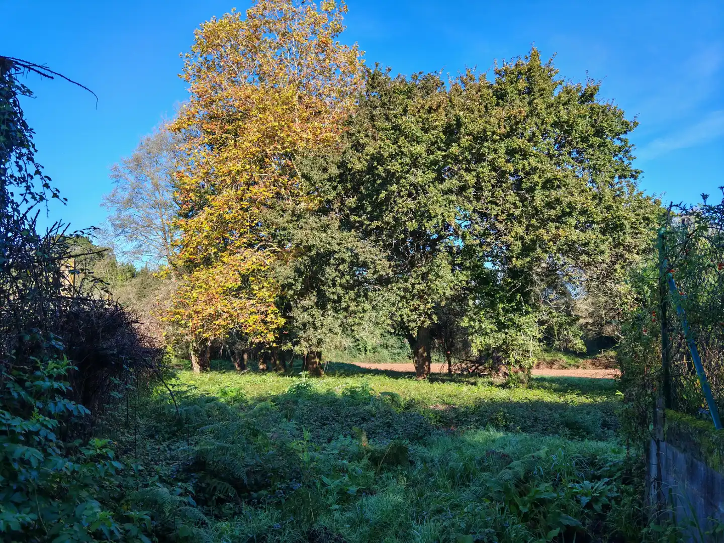 Land for sale in Sada (A Coruña)