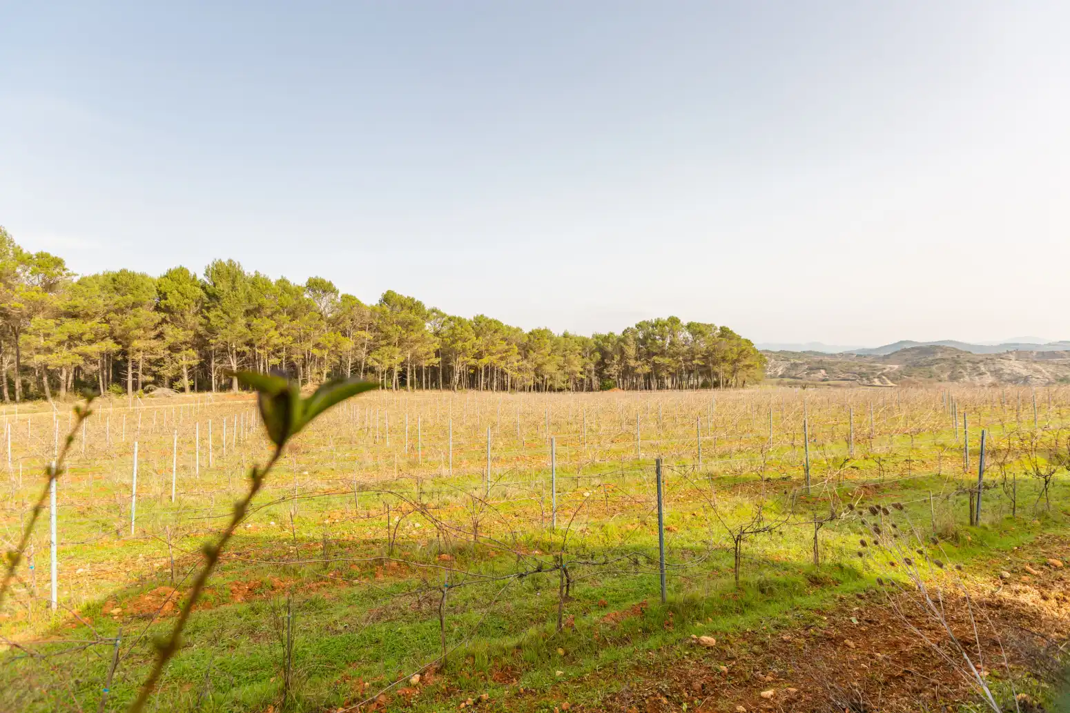 Casa o chalet en venta en Ayegui / Aiegi con Aire acondicionado, Calefacción y Jardín privado