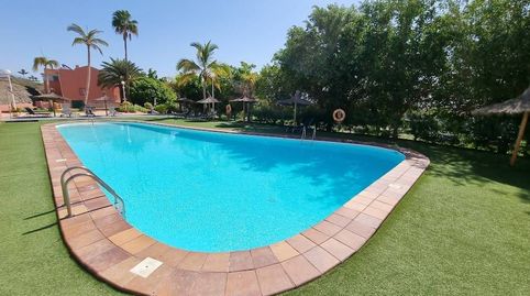 Foto 2 de Apartament de lloguer a Pasito Blanco - Santa Águeda, San Bartolomé de Tirajana