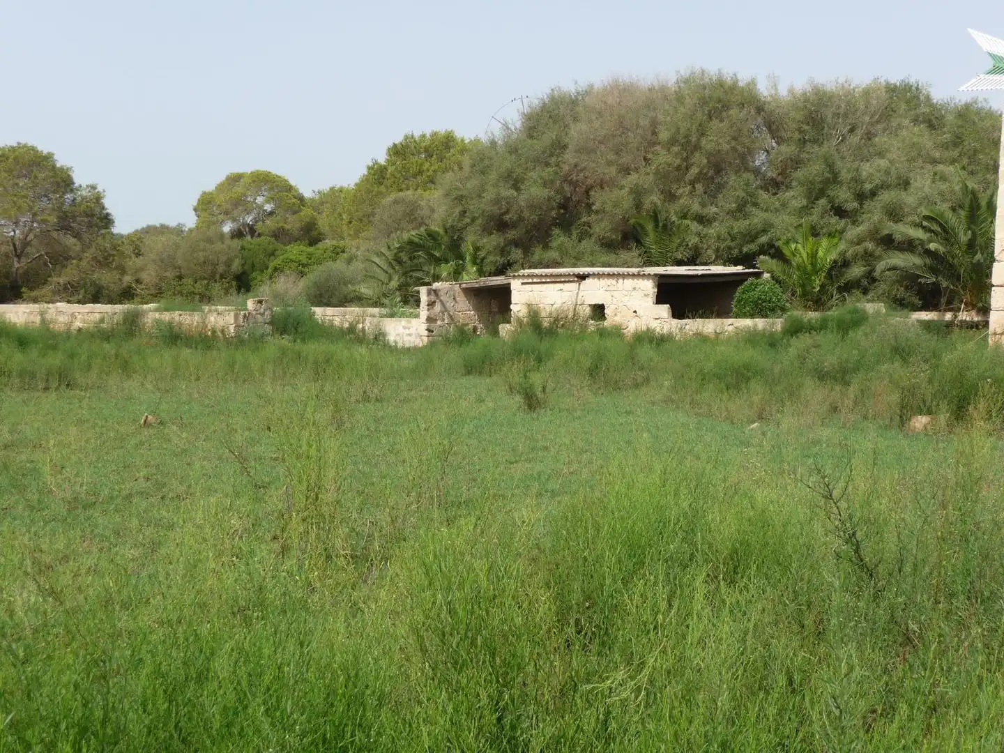 Finca rústica en venda a Son Ferriol
