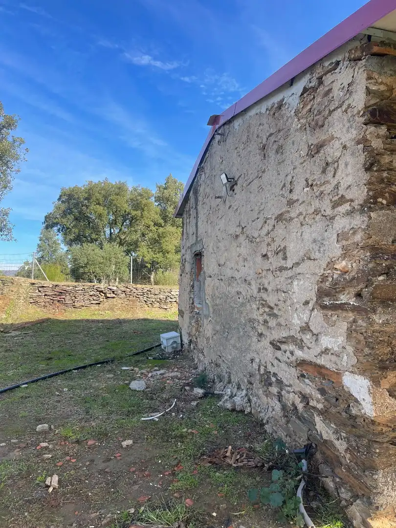 Vista exterior de Casa o chalet en venta en Plasencia con Jardín privado y Amueblado