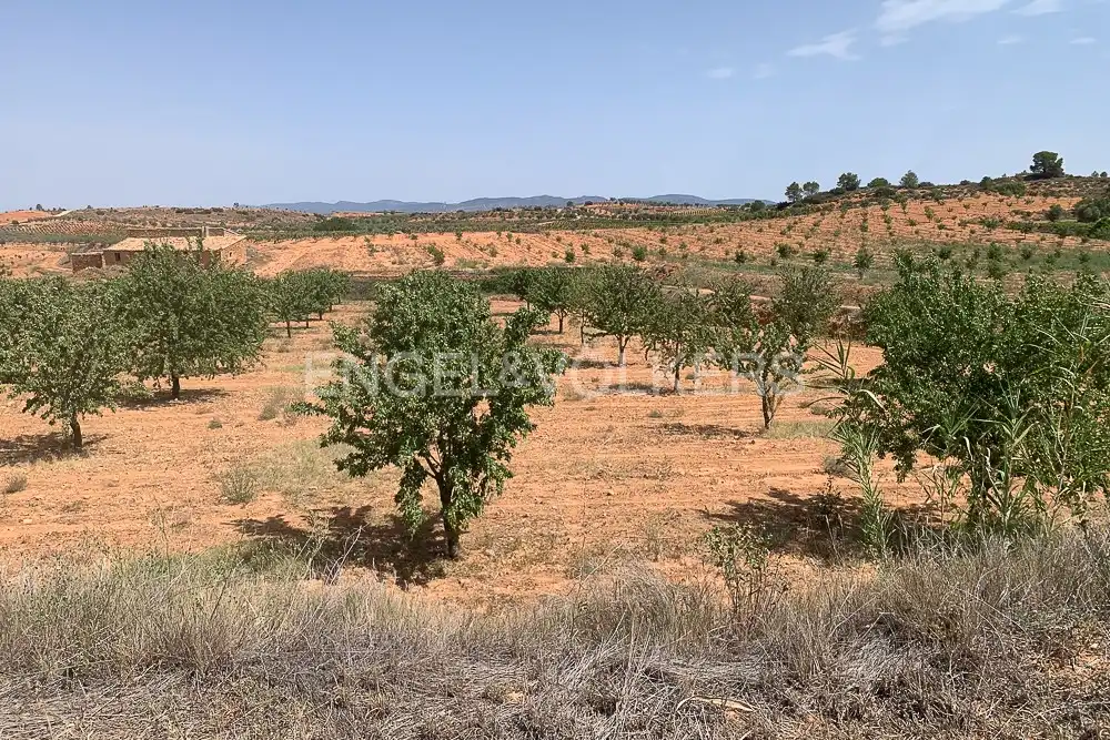 Lands and plots for sale in Requena, imagen 36