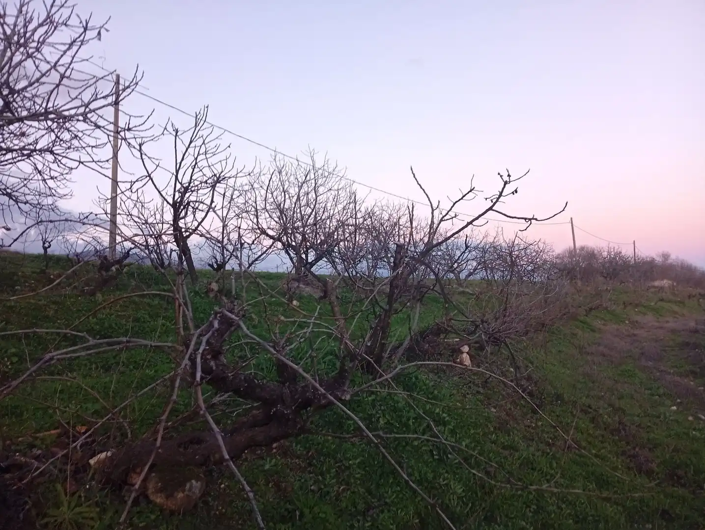 Land for sale in Losar de la Vera