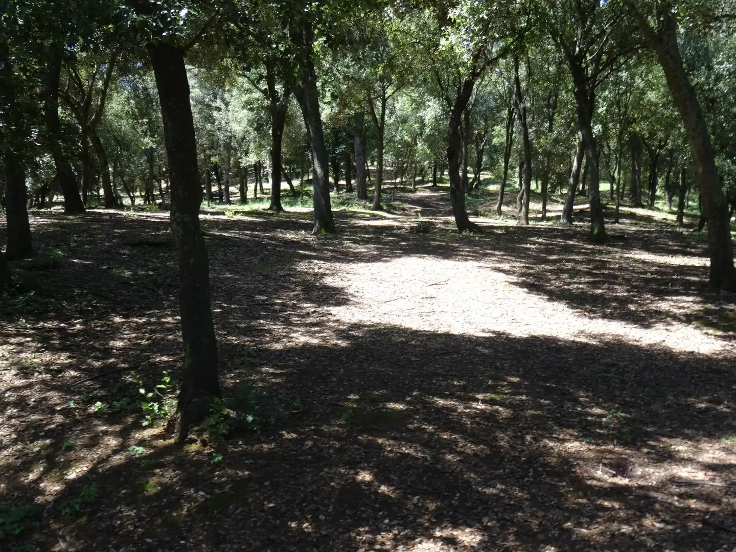Vista exterior de Finca rústica en venta en Bescanó