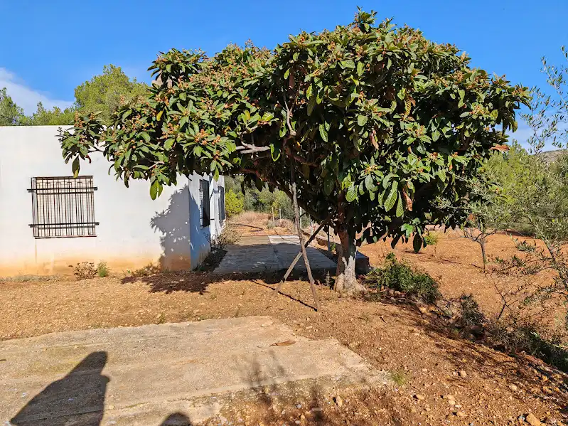 Casa rústica en venta en Onda, imagen 2