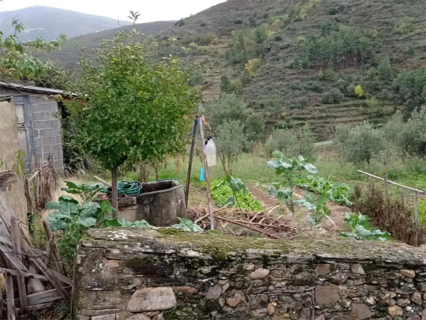Jardí de Casa adosada en venda en Petín amb Moblat