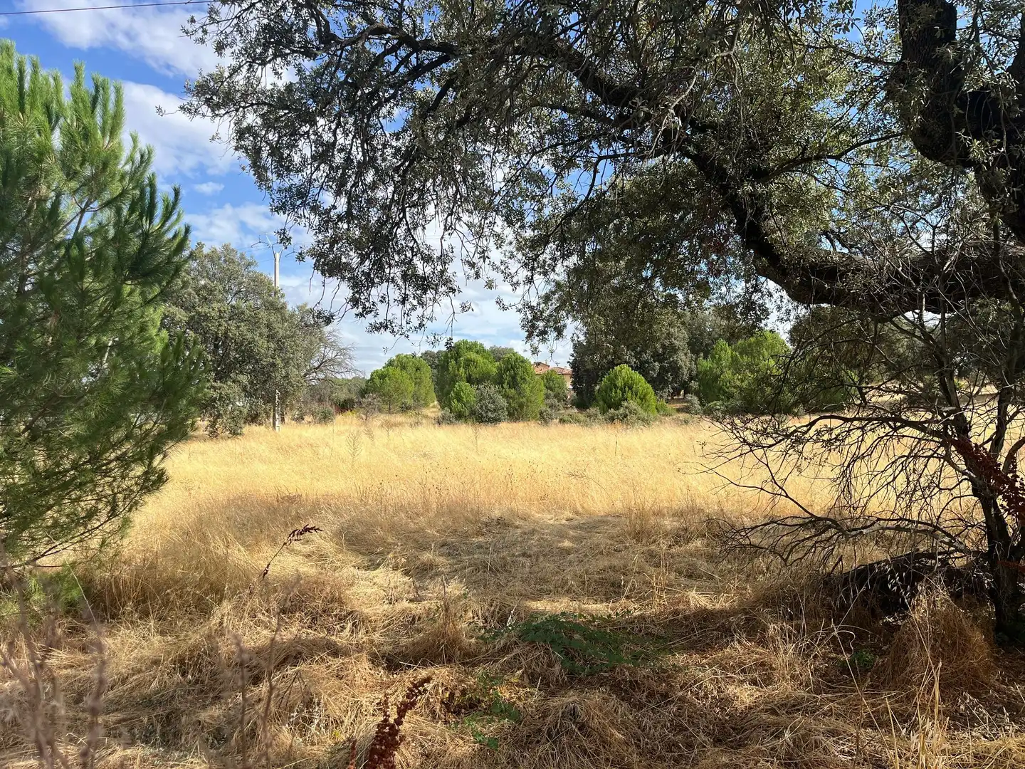 Terrenys i solars en venda a DE LAS ESTRELLAS 4, imagen 22
