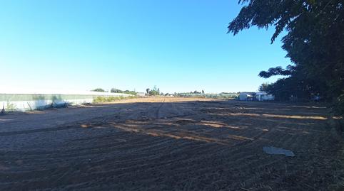 Foto 5 de Residencial en venda a Camino del Olivar, Avenida de Rota, Chipiona