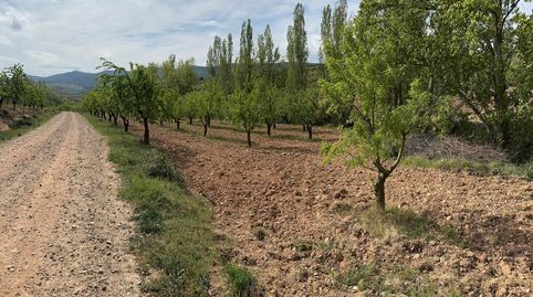 Foto 4 de Terreno en venta en Bergasa, La Rioja