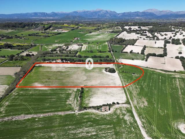 Terreno residencial en Venta en  Polígono 6 Parcela 9826 POLIGONO 006. LLUBI (ILLE en Llubí