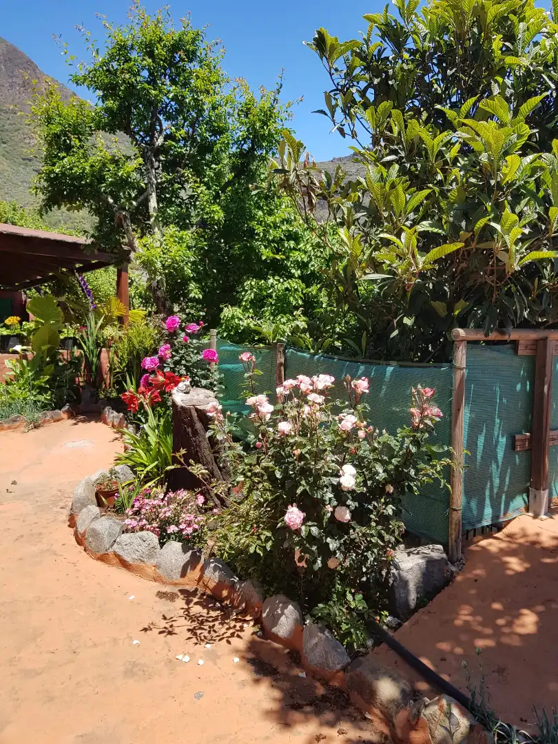 Jardí de Casa o xalet en venda en Valsequillo de Gran Canaria amb Jardí privat, Terrassa i Traster