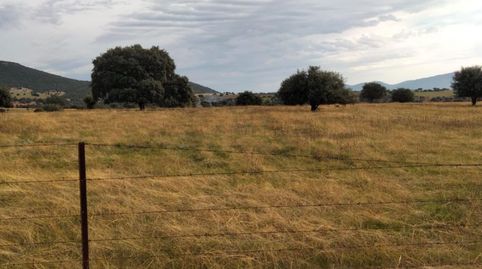 Foto 2 de Finca rústica en venta en Las Vaguadas, Badajoz Capital