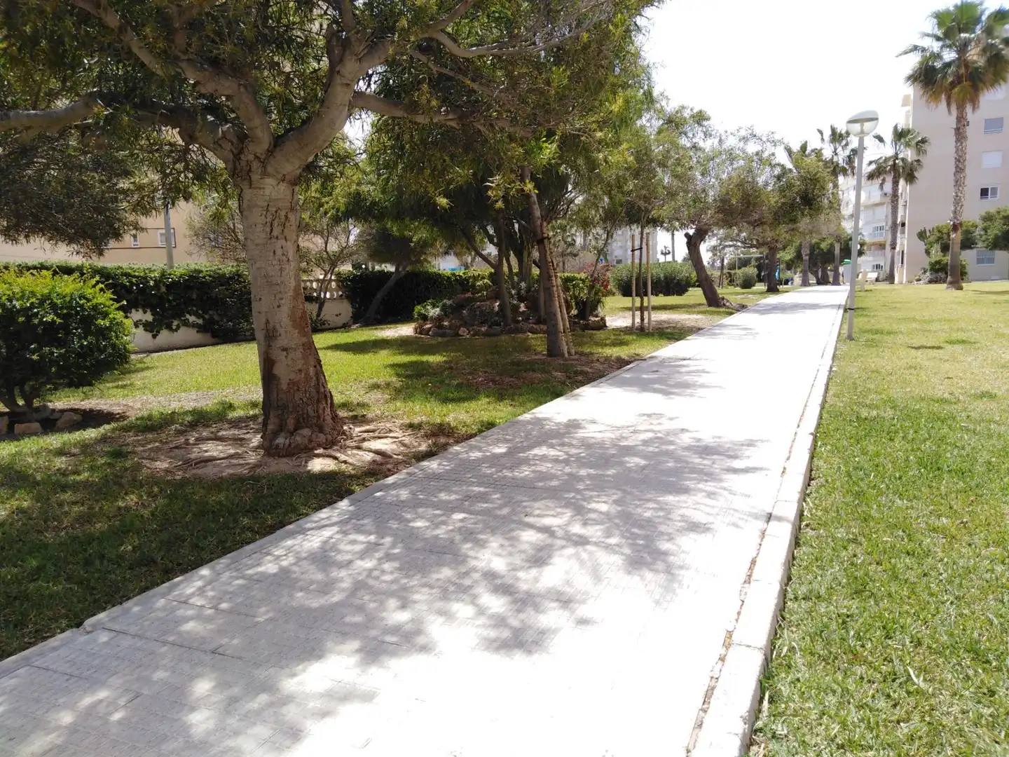 Vista exterior de Apartamento en venta en Alicante / Alacant con Jardín privado, Terraza y Amueblado