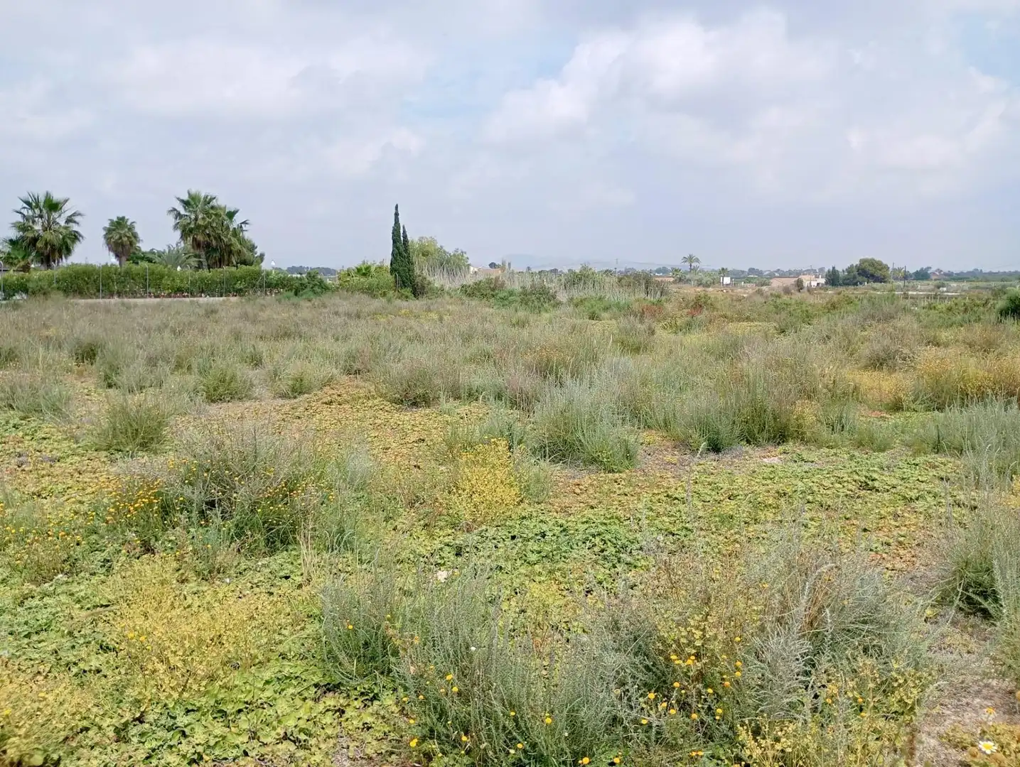 Casa o chalet en venta en Elche / Elx con Jardín privado y Trastero