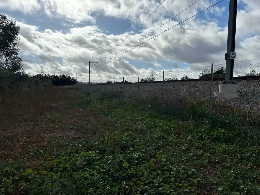 Rural land for sale in Sa Pobla, imagen 21