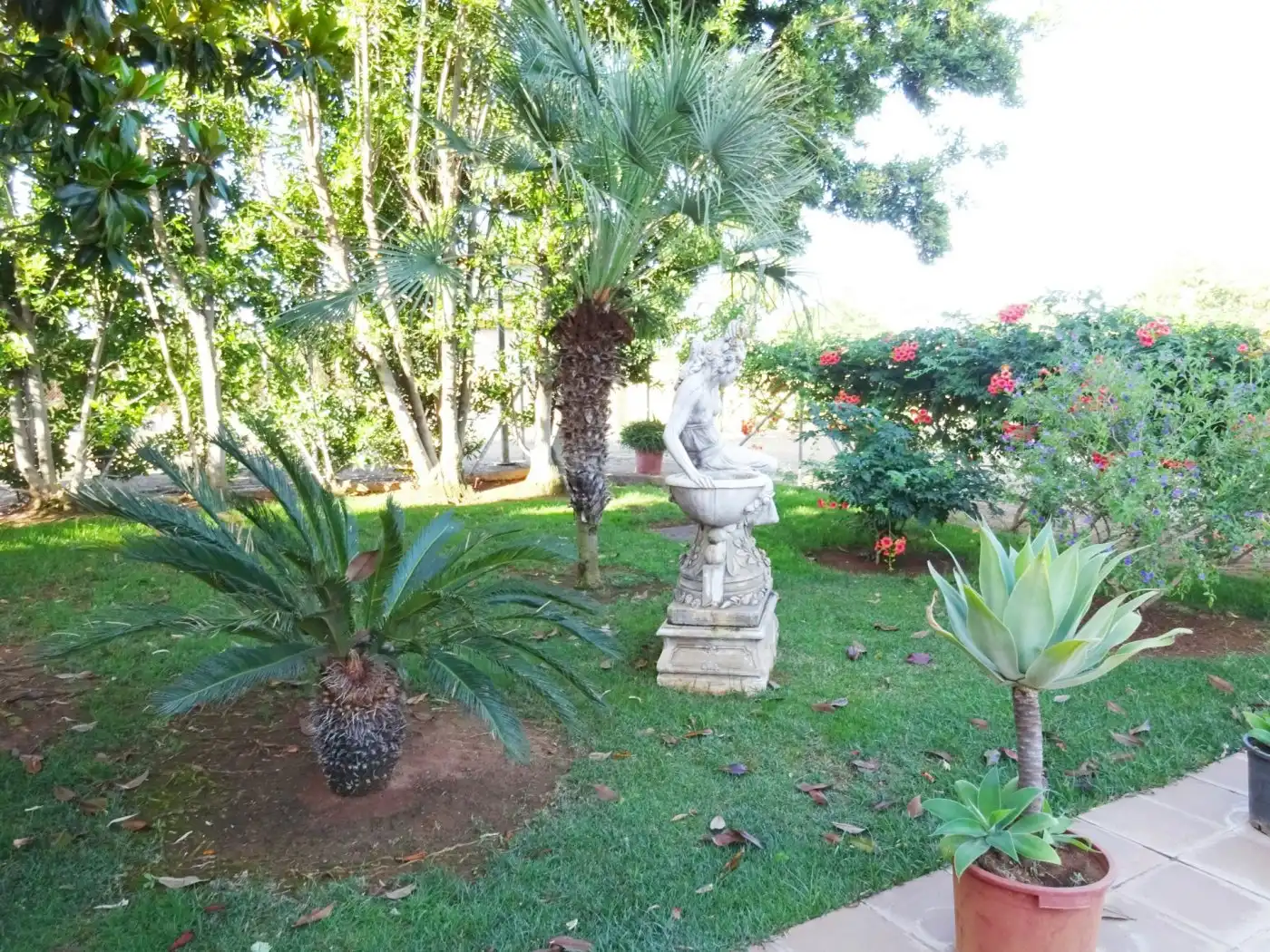 Finca rústica en venda a Mairena del Alcor