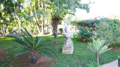 Foto 5 de Finca rústica en venda a Mairena del Alcor, Sevilla