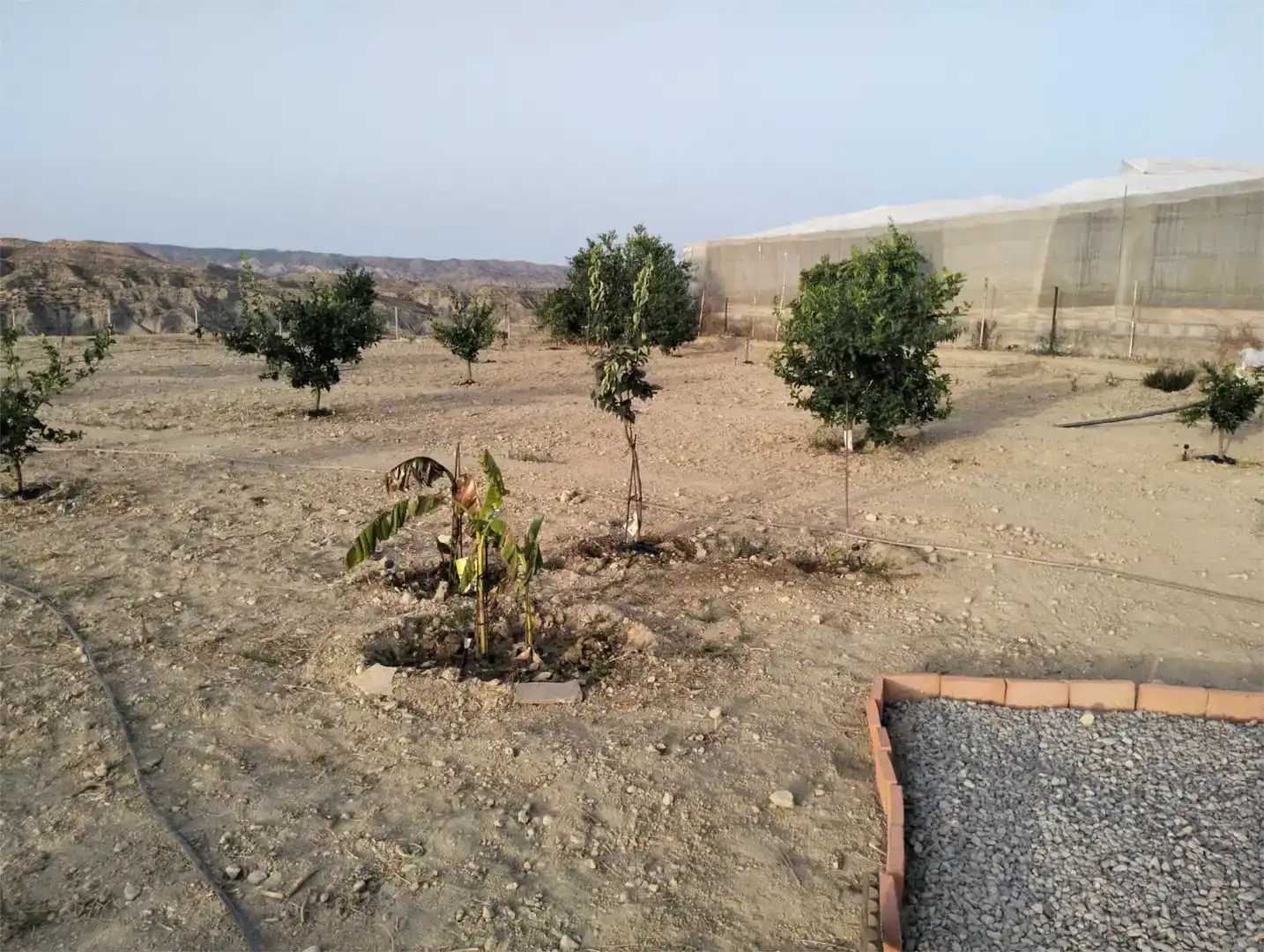 Casa o xalet en venda en Íllar amb Aire condicionat
