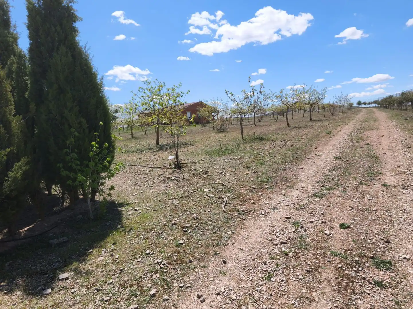 Finca rústica en venta en Alcázar de San Juan