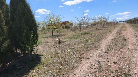 Foto 2 de Finca rústica en venda a Alcázar de San Juan, Ciudad Real